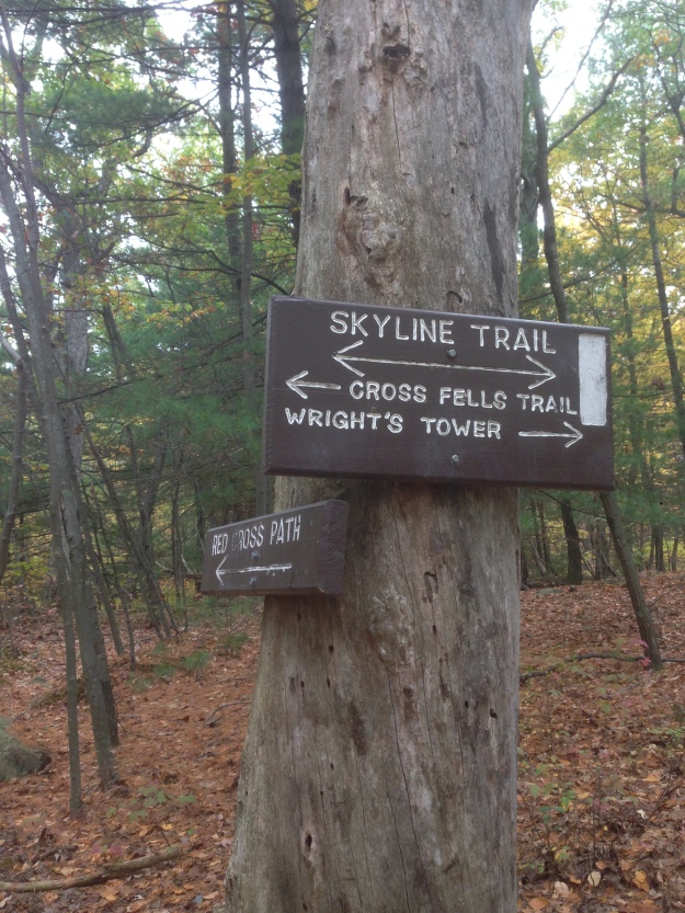 The Skyline Trail at Middlesex Fells