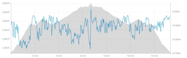Elevation profile for this hike. 
